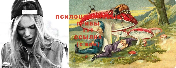 дживик Армянск